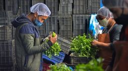 Protección legal, financiamiento y capacitación para Pymes y MiPymes