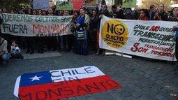 Santiago de Chile se suma a la V° marcha mundial contra Monsanto-Bayer
