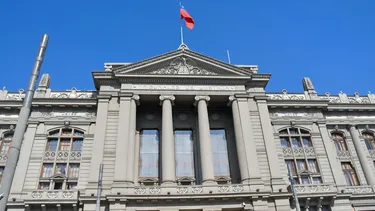 Vecina consigue que Corte de Apelaciones ordene al municipio talar árboles que amenazan a la comunidad en un plazo de 30 días