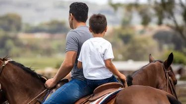 El Desconcierto | murio paseando en caballo con su hijo tras ser atropellado por conductor ebrio  deberan pagar a familia 34 millones.webp