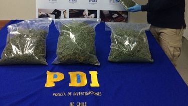 Una mujer y sus dos hijos se intoxicaron por consumir un queque de marihuana en Vicuña