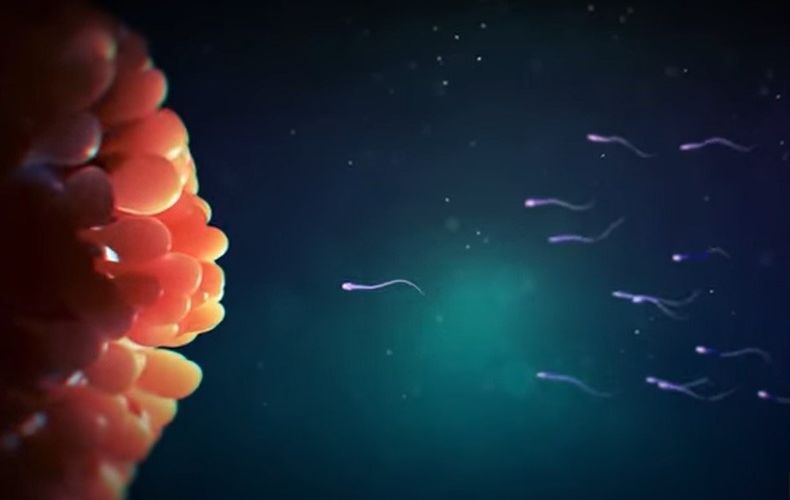 reproduccion asistida ota.jpg