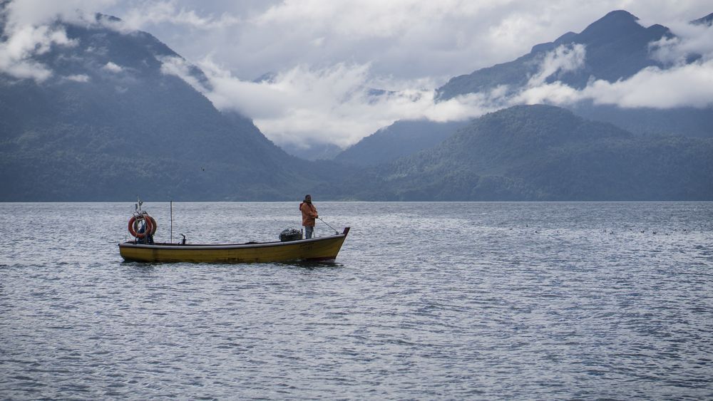 Mujeres en la pesca artesanal.&nbsp;
