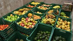 Con la iniciativa de reciclaje de alimentos, el país vecino combate la inseguridad alimentaria y la crisis climática. Con la iniciativa de reciclaje de alimentos, el país vecino combate la inseguridad alimentaria y la crisis climática.