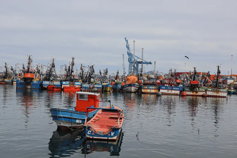 16334 a uno 1653351.webp