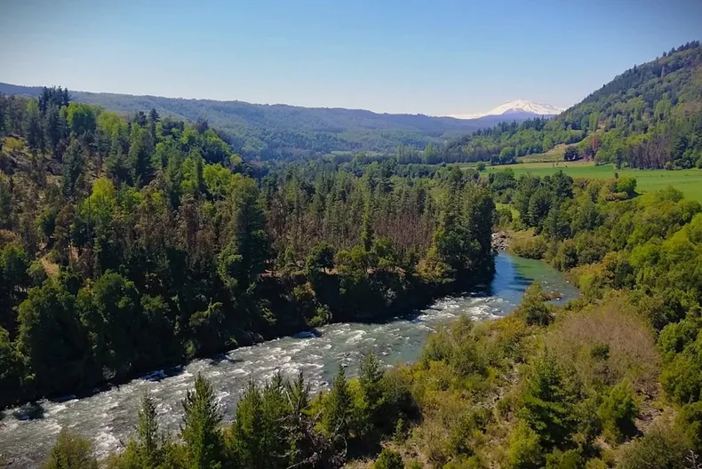 27684 diguillin.webp