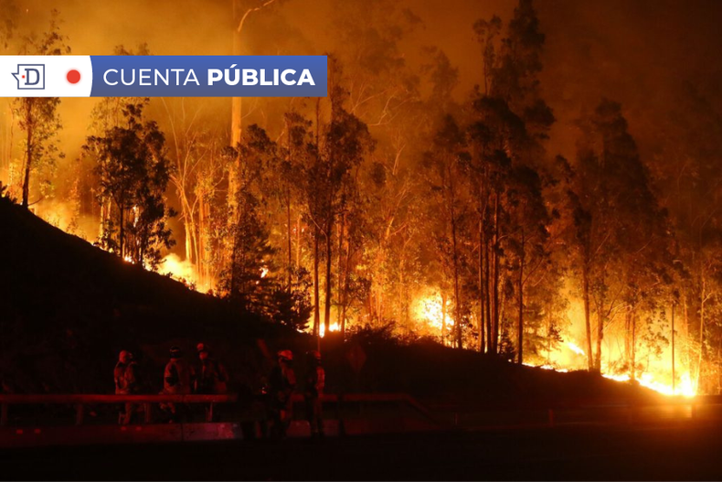 INCENDIOS FORESTALES.png