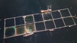 Balance Ambiental 2021: Salmoneras en la mira por vulneraciones a derechos humanos