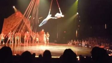Acróbata del Cirque Du Soleil murió tras caer durante una actuación en Florida