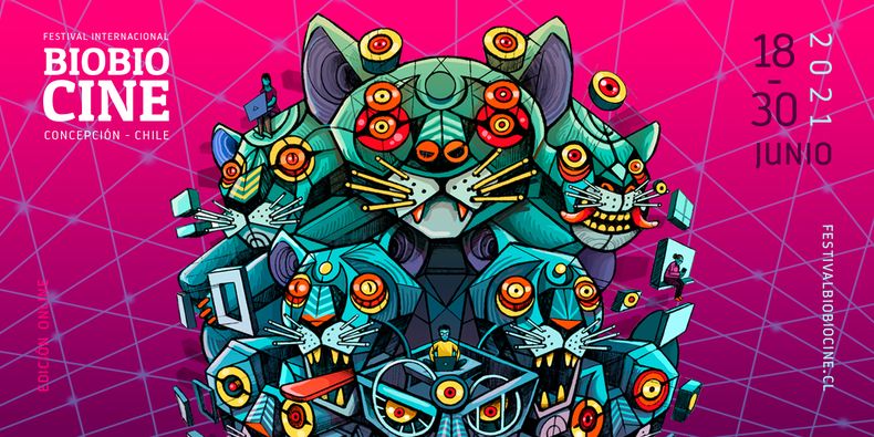 Imagen Festival BioBioCine.jpg