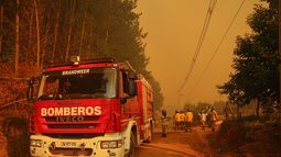 Incendios forestales: 10 siniestros con Alerta Roja y situación en Biobío preocupa