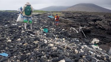 No existe un solo lugar en las Galápagos libre de plástico