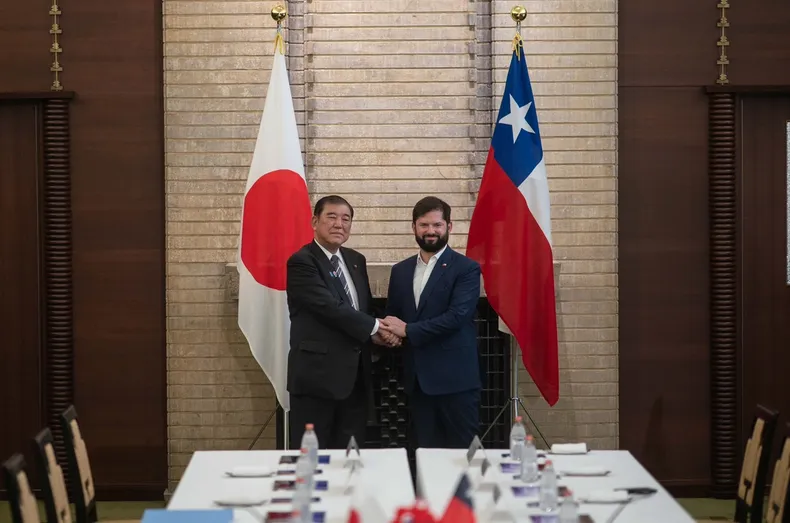 15559 boric japon.webp