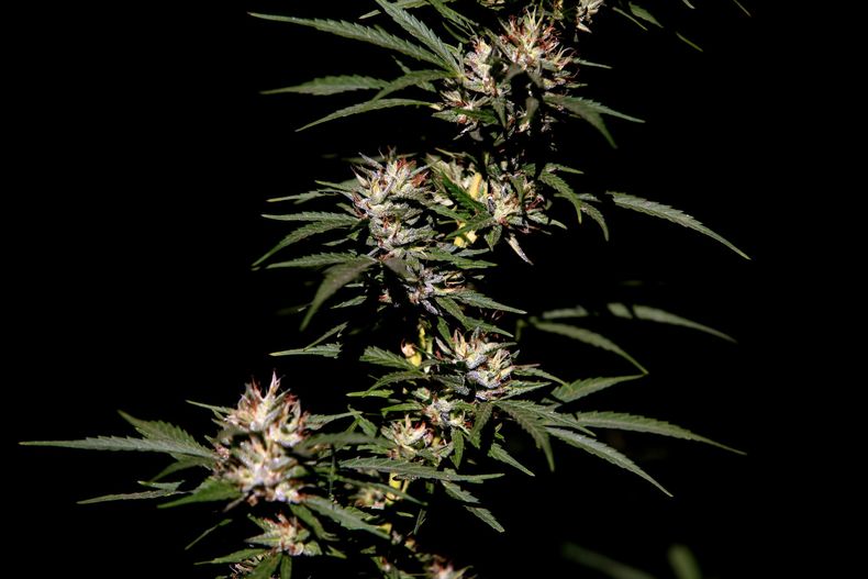 A_UNO_656720 scaled.jpg