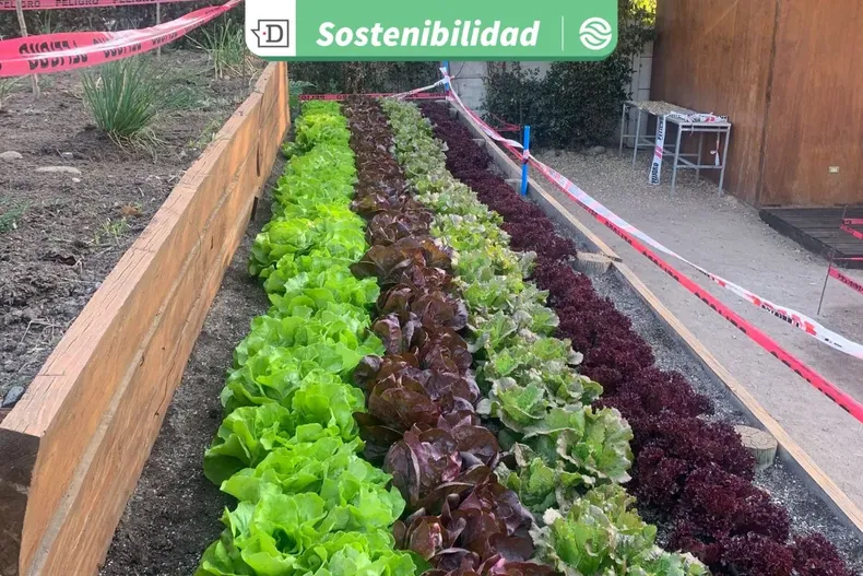 22378 diseno sin titulo 2025 09 10t165034.webp