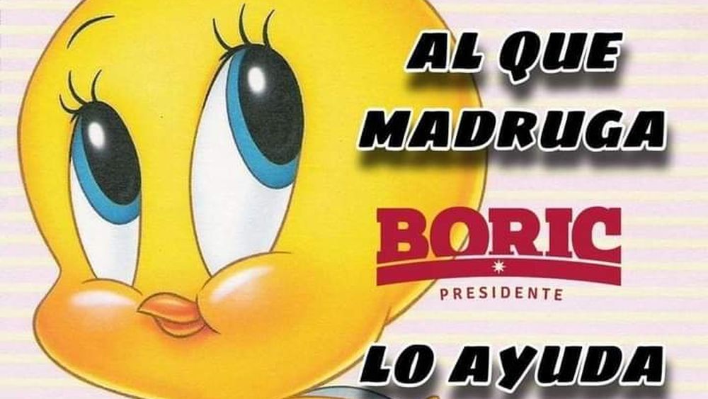 El candidato del árbol, sonrisas y memes