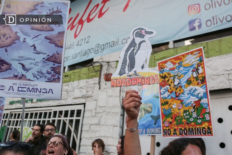 11484 carteles contra dominga.jpg