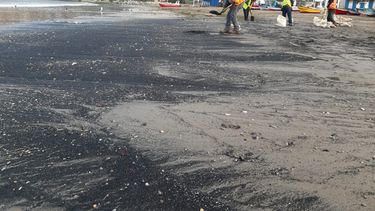 Varamientos de carbón: la continua vulneración de la Bahía de Quintero