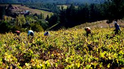 Crisis climática eleva las temperaturas y afecta la agricultura - Agencia Uno Crisis climática eleva las temperaturas y afecta la agricultura - Agencia Uno