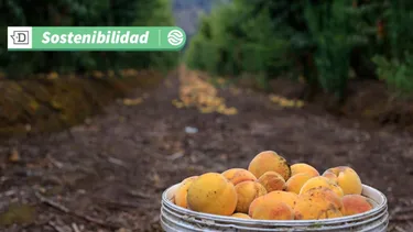 Innovación alimentaria: La etiqueta compostable que llega a la final de importante certamen de Reino Unido