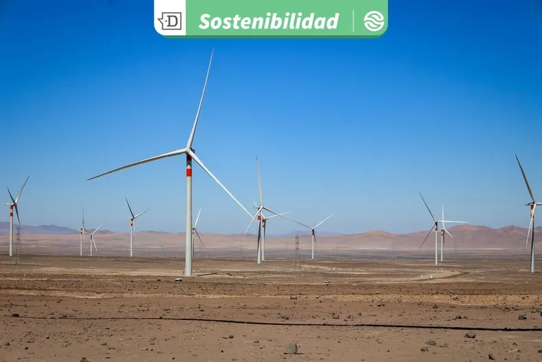 22603 diseno sin titulo 2025 09 15t102924.webp