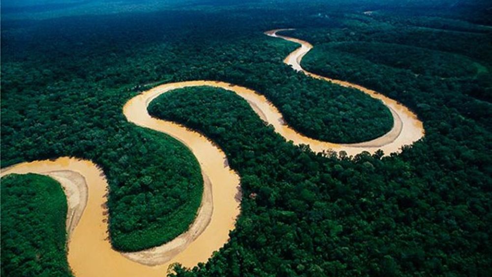 Cinco razones por las que es indispensable proteger la Amazonía