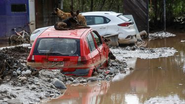 Curarrehue: Encuentran cuerpos de dos desaparecidos tras fuertes lluvias y aluvión