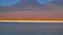 El Desierto de Atacama podría ayudar a detectar vida en otros planetas - Agencia Uno El Desierto de Atacama podría ayudar a detectar vida en otros planetas - Agencia Uno