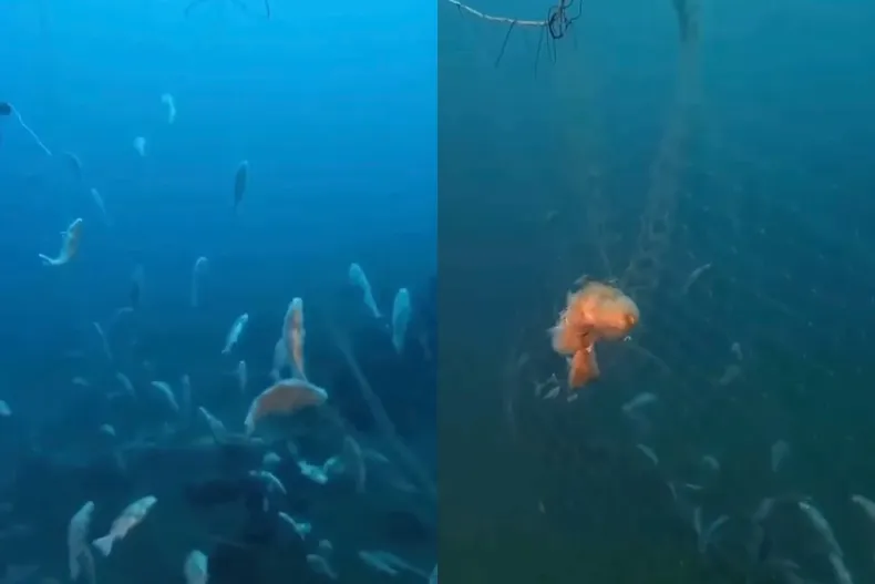 18059 diseno sin titulo 2025 06 25t155853.webp