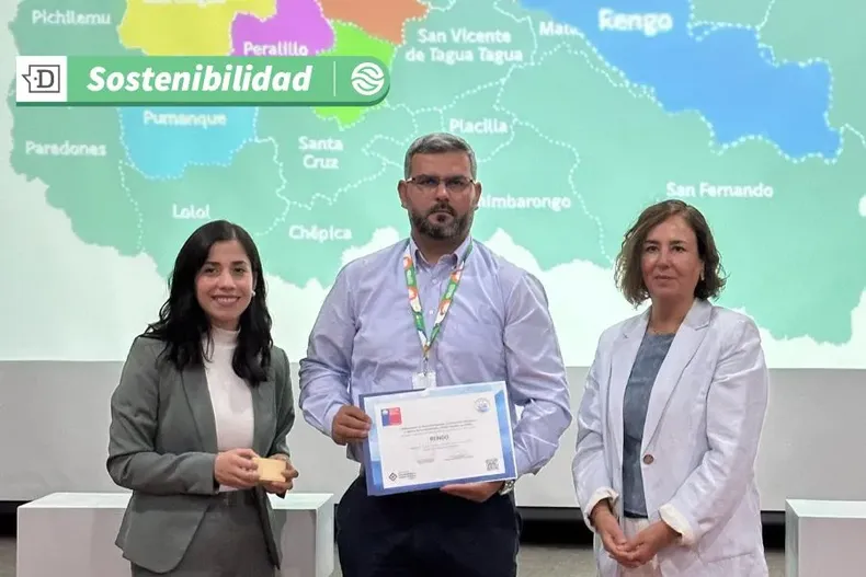 12754 diseno sin titulo 9.webp