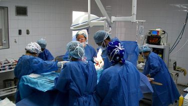 El Desconcierto | Cesarean_team scaled.jpg