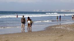 Placeres marinos en la región de Coquimbo: Cuatro lugares para disfrutar en vacaciones