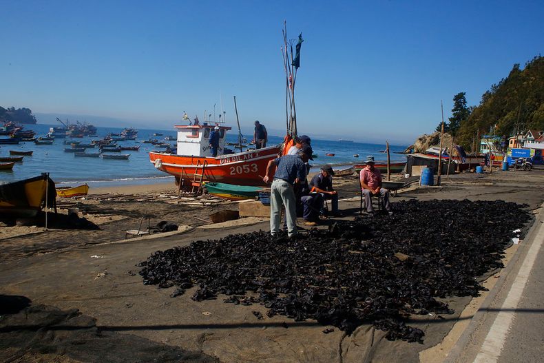 Buscan regular y conservar ecosistemas con nueva ley.jpg