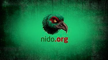 Abofem denuncia nulos avances en investigación del caso Nido.org: Ninguna víctima ha sido llamada a declarar