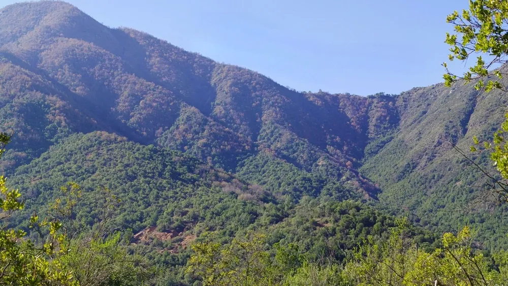 SBAP: Chile inaugura servicio que puede restaurar ecosistemas que quedaron fuera de parques y reservas nacionales