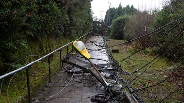 Experto y nueva alerta por viento tras colapso eléctrico: “No creo que estemos mejor preparados”