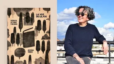 El Desconcierto | 20458 diseno sin titulo 40 1.webp