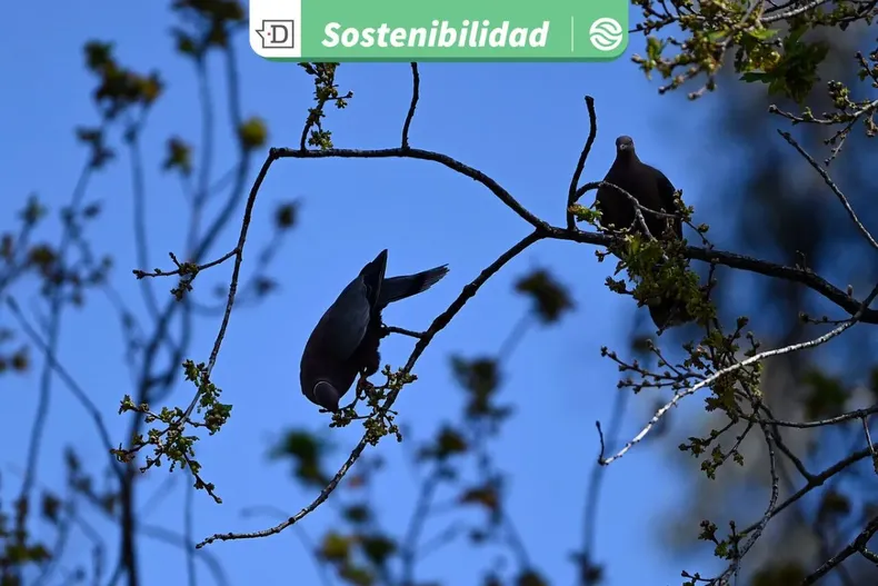 22001 diseno sin titulo 2025 09 04t115403.webp