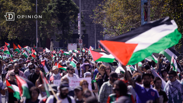 El Desconcierto | Palestina e1715812437129.png