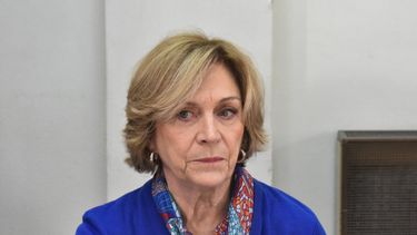 El Desconcierto | matthei omegna