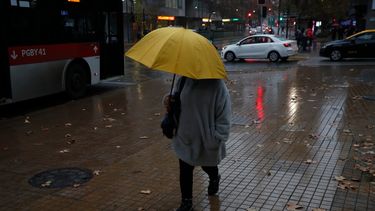 Plan invierno en RM: Poda de árboles, labores de limpieza y 48 albergues disponibles