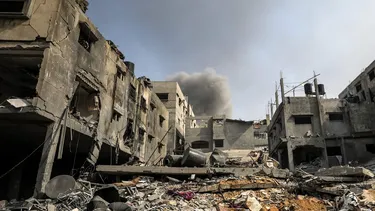 Israel no sólo atacó a personas en Palestina: El ecocidio que comete con tala indiscriminada de olivos ancestrales