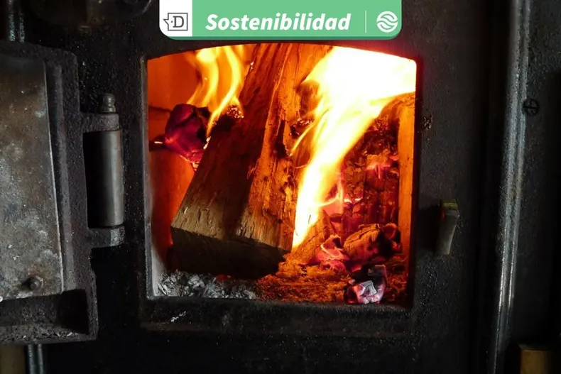 31255 diseno sin titulo 2026 03 16t170657.webp