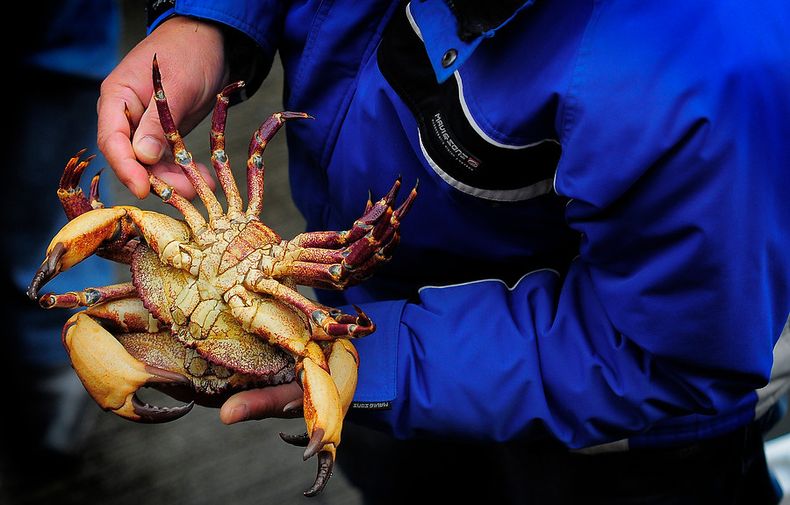 7881 a uno 019463.jpg