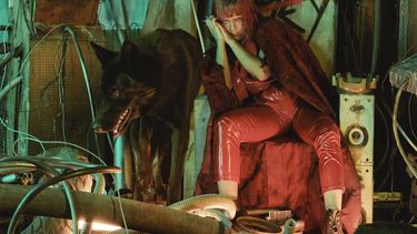 El Desconcierto | unnamed 6.jpg