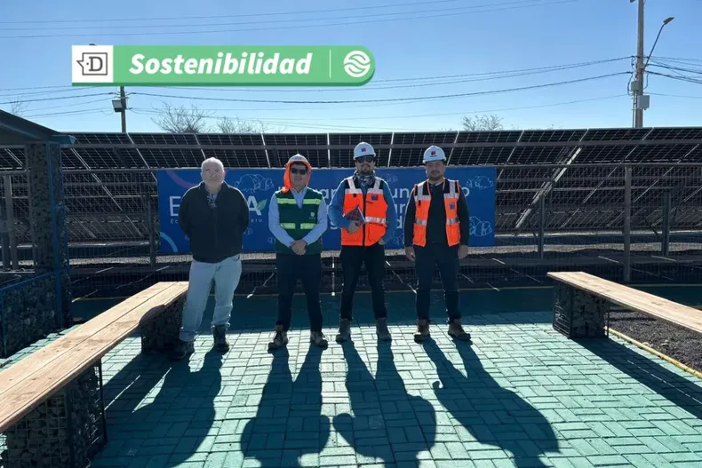 20072 diseno sin titulo 54.webp