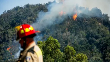 Senapred decreta Alerta Roja en varias regiones por evento de calor extremo: Región del Maule podría llegar a los 40°C