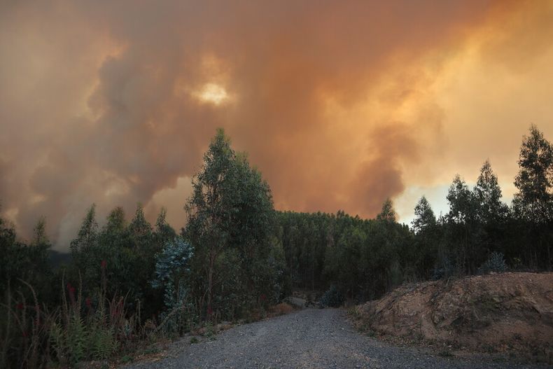 Incendios forestales 1.jpg