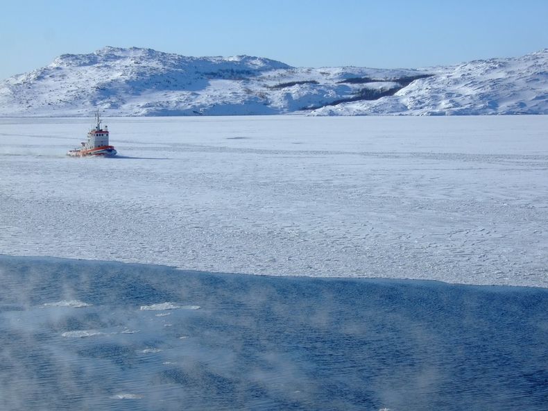 circulo polar artico.jpg