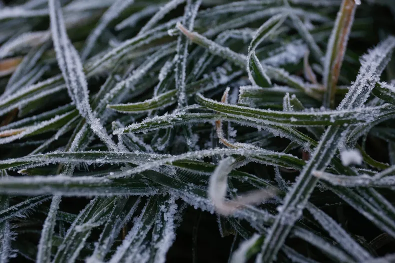 18427 a uno 1470977.webp